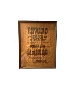 Poster Dead or Alive for Belle Starr