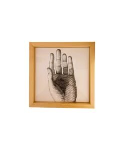 Piastrelle - Piero Fornasetti
